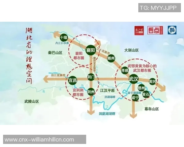 大田地铁与釜山运输的比较分析及其对城市发展的影响探讨 大田地铁与釜山运输的比较分析及其对城市发展的影响探讨